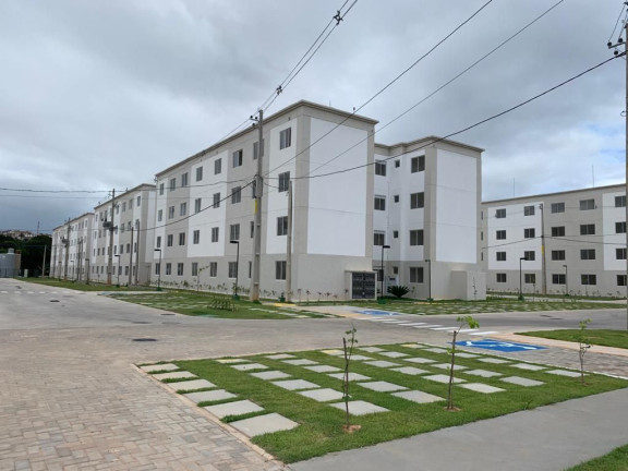 Imagem Apartamento com 2 Quartos à Venda, 41 m² em Celeiro das Alegrias Futuras - Camaragibe Imagem Apartamento com 2 Quartos à Venda, 41 m² em Celeiro das Alegrias Futuras - Camaragibe