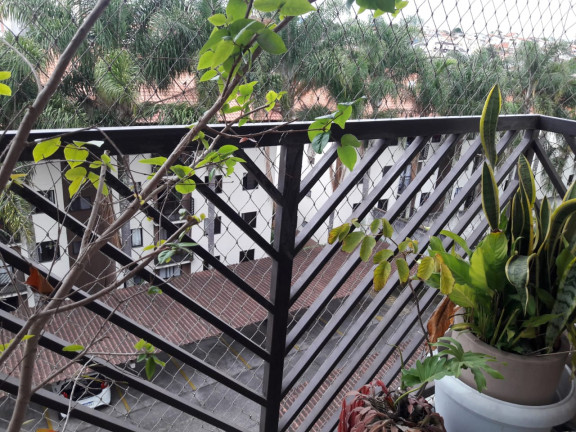 Imagem Apartamento com 3 Quartos à Venda, 74 m² em Chácara Jafet - Mogi das Cruzes Imagem Apartamento com 3 Quartos à Venda, 74 m² em Chácara Jafet - Mogi das Cruzes