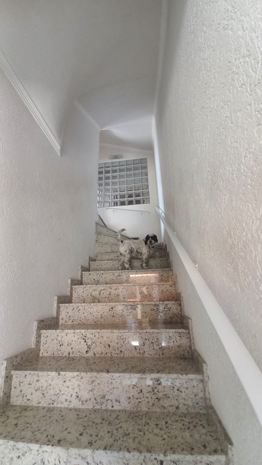 Imagem Sobrado com 5 Quartos à Venda, 350 m²em Parque Casa de Pedra - São Paulo Imagem Sobrado com 5 Quartos à Venda, 350 m²em Parque Casa de Pedra - São Paulo