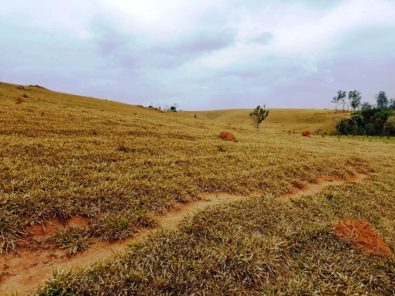 Imagem Fazenda à Venda, 135 Alq SP em Rural - Caconde