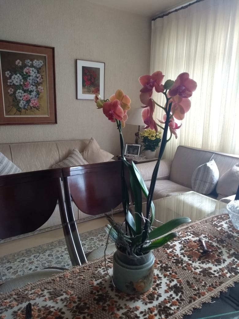 Imagem Apartamento com 2 Quartos à Venda, 85 m²em Vila Mariana - São Paulo Imagem Apartamento com 2 Quartos à Venda, 85 m²em Vila Mariana - São Paulo