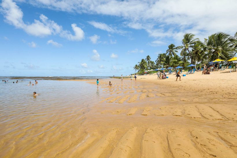 Imagem Terreno em Condomínio à Venda, 800 m²em Praia do Forte - Mata de São João Imagem Terreno em Condomínio à Venda, 800 m²em Praia do Forte - Mata de São João