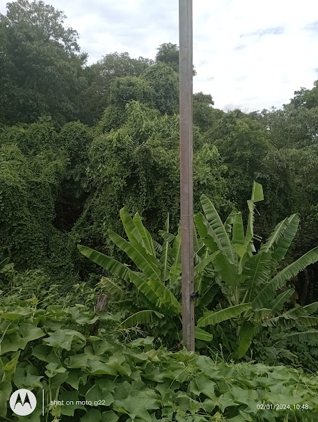 Imagem Terreno à Venda, 3 m²em Jardim Sabiá - Cotia