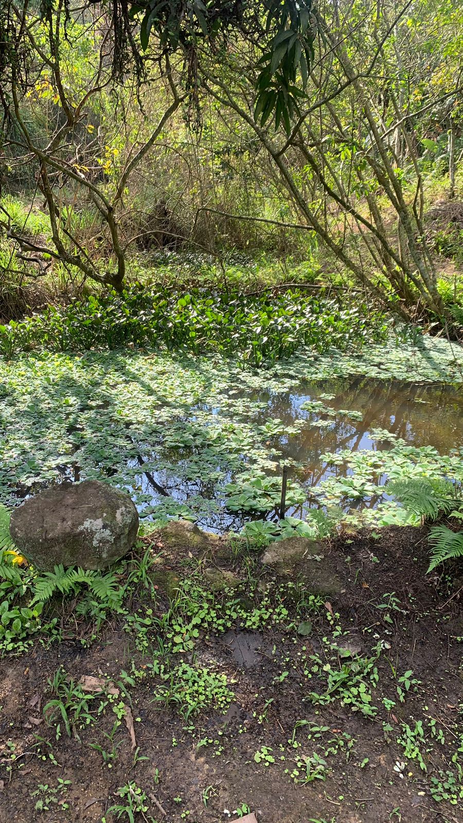 Imagem Terreno à Venda, 17.850 m² em Realengo - Rio de Janeiro