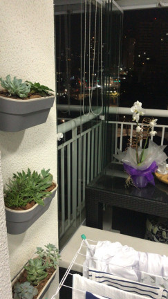 Imagem Apartamento com 2 Quartos à Venda, 57 m² em Quinta da Paineira - São Paulo Imagem Apartamento com 2 Quartos à Venda, 57 m² em Quinta da Paineira - São Paulo