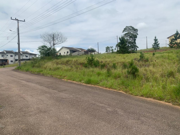 Imagem Terreno à Venda, em Linha Anta - Criciúma Imagem Terreno à Venda, em Linha Anta - Criciúma