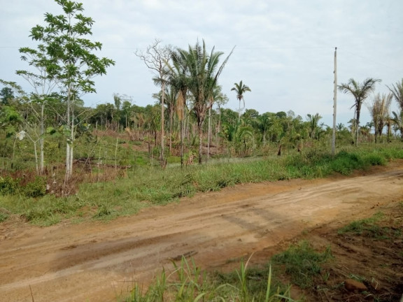 Imagem Terreno à Venda, 2.000 m² em Zona Rural - Humaitá Imagem Terreno à Venda, 2.000 m² em Zona Rural - Humaitá