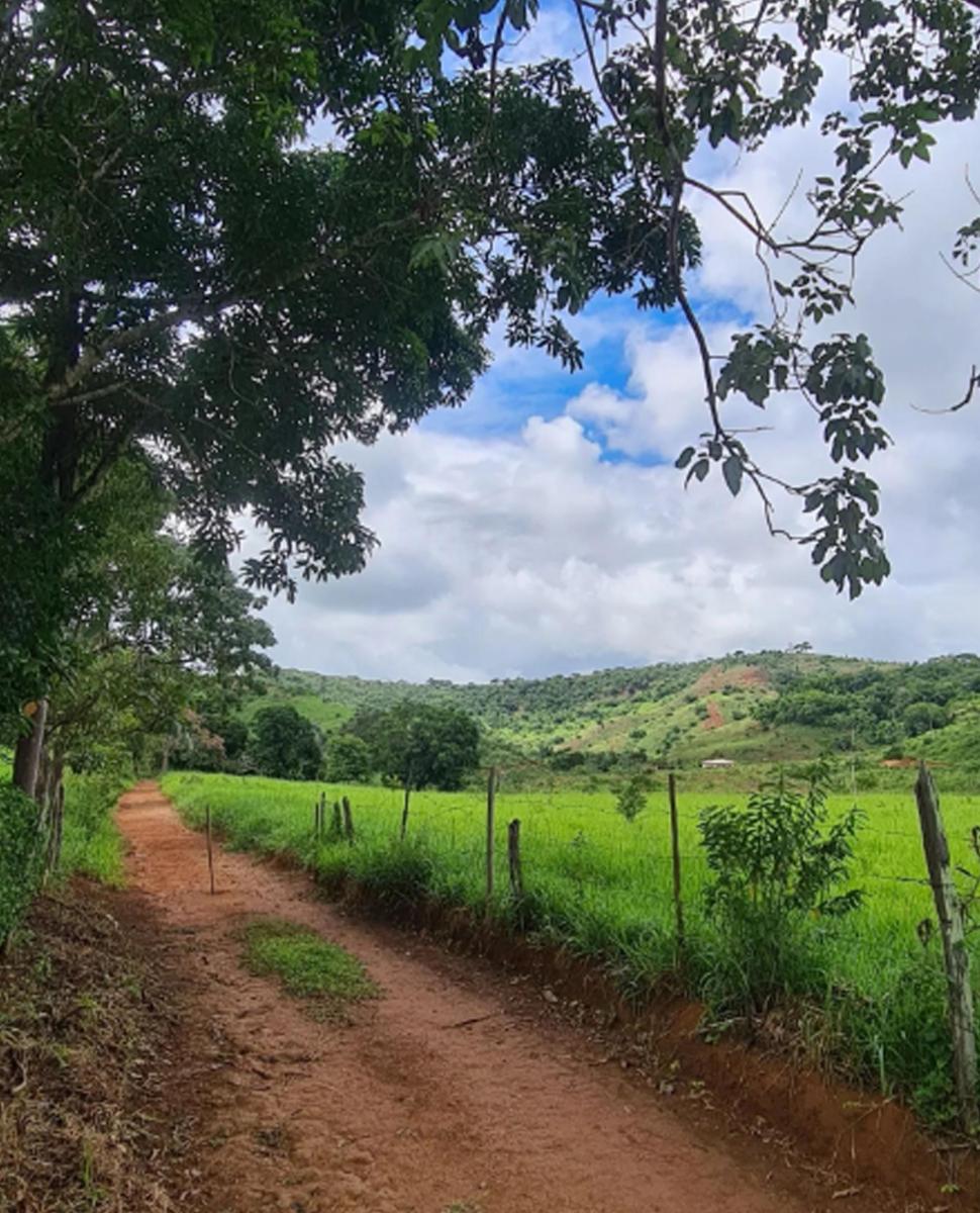 Imagem Chácara com 3 Quartos à Venda, 62.000 m² em Centro - Rio Casca Imagem Chácara com 3 Quartos à Venda, 62.000 m² em Centro - Rio Casca