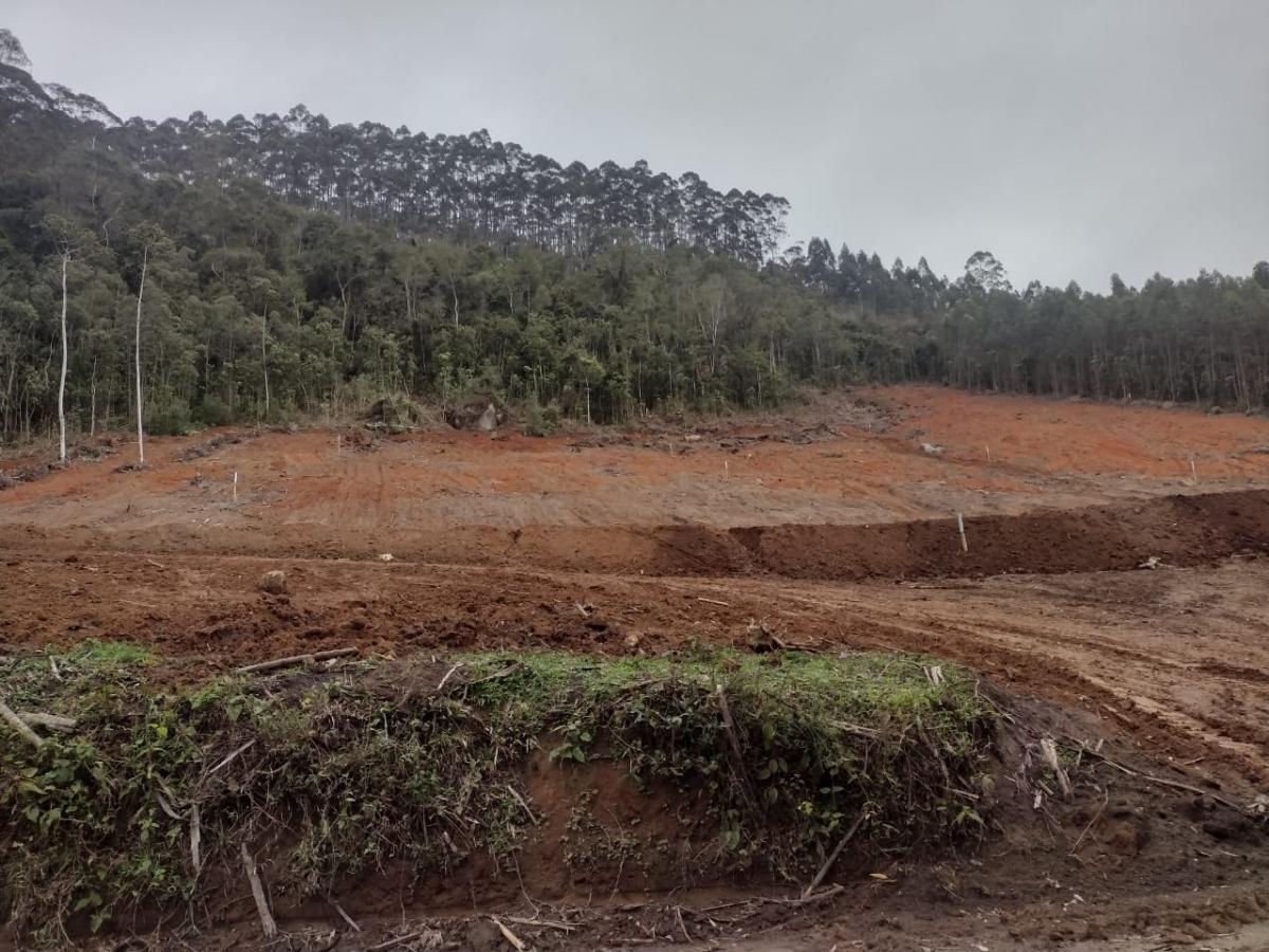 Imagem Terreno à Venda, 8 m²em Vila Aparecida - Salesópolis