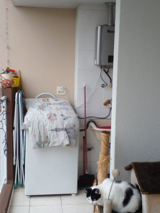 Imagem Apartamento com 3 Quartos à Venda, 63 m² em Vila Moraes - São Paulo