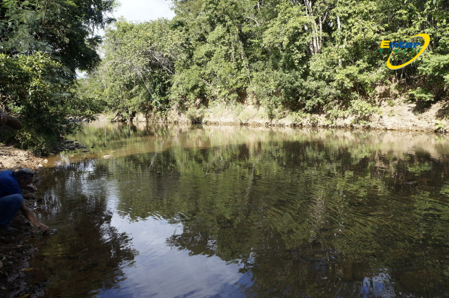 Imagem Fazenda à Venda, 681.000 m² em rural - São João D'Aliança