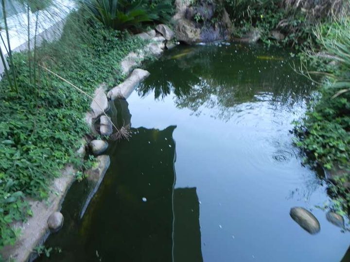Imagem Casa de Condomínio com 5 Quartos à Venda, 500 m² em Várzea&nbsp; - Teresópolis