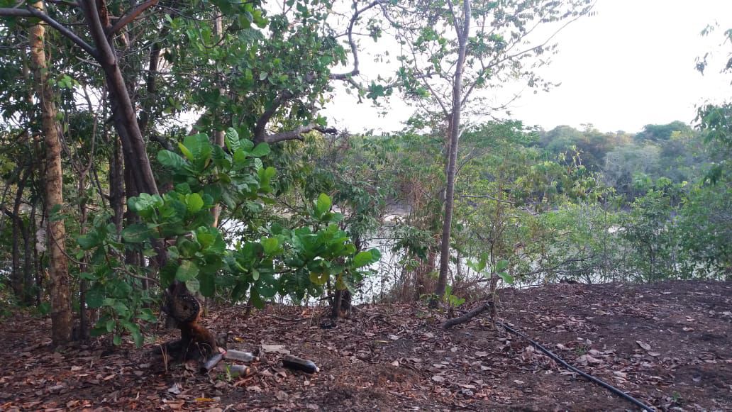 Imagem Fazenda à Venda, 47 HAem ZONA RURAL - Nova Crixás Imagem Fazenda à Venda, 47 HAem ZONA RURAL - Nova Crixás