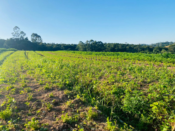 Imagem Terreno em Condomínio à Venda, 1.000 m² em Verava - Ibiúna Imagem Terreno em Condomínio à Venda, 1.000 m² em Verava - Ibiúna