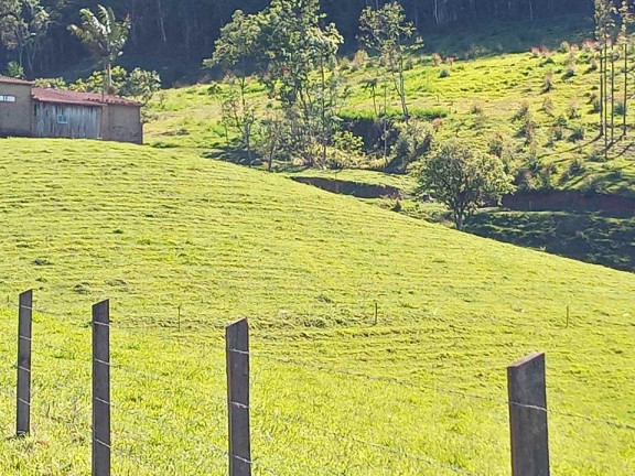 Imagem Terreno à Venda,  em Barracão - Orleans