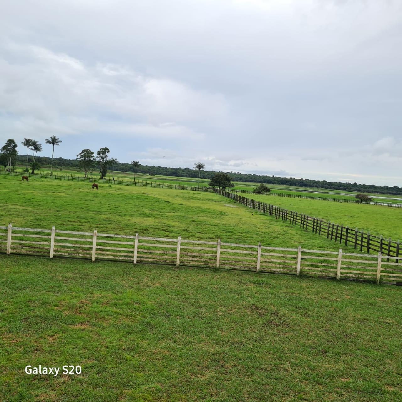 Imagem Fazenda à Venda, 11.970 m² em Zona Rural - Alenquer Imagem Fazenda à Venda, 11.970 m² em Zona Rural - Alenquer