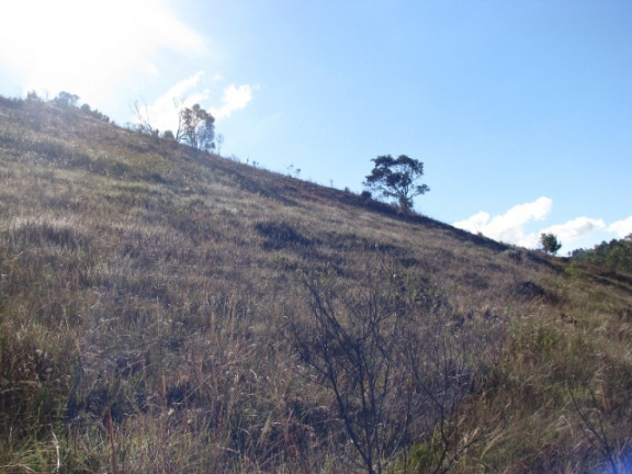 Imagem Terreno à Venda, 1.380 m² em Descansopolis - Campos do Jordão