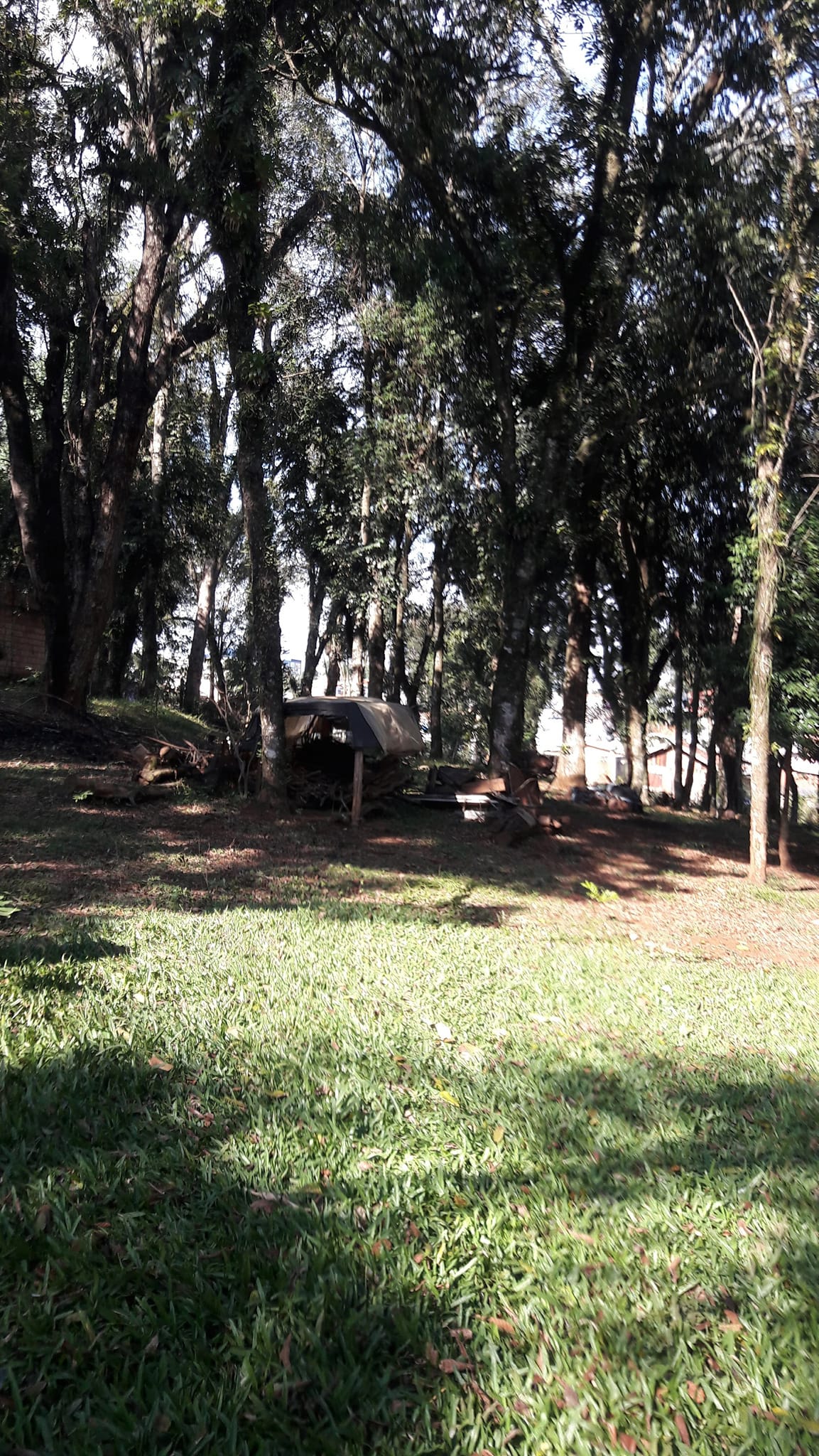 Imagem Terreno à Venda, 3.200 m²em Efapi - Chapecó