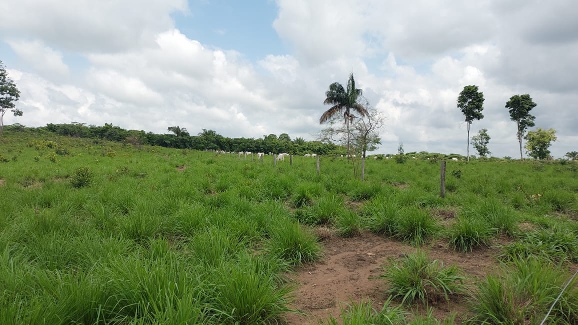 Imagem Fazenda à Venda, 9 Alq MGem Nova Marabá - Marabá