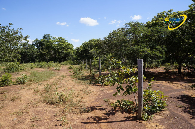 Imagem Fazenda à Venda, 681.000 m² em rural - São João D'Aliança
