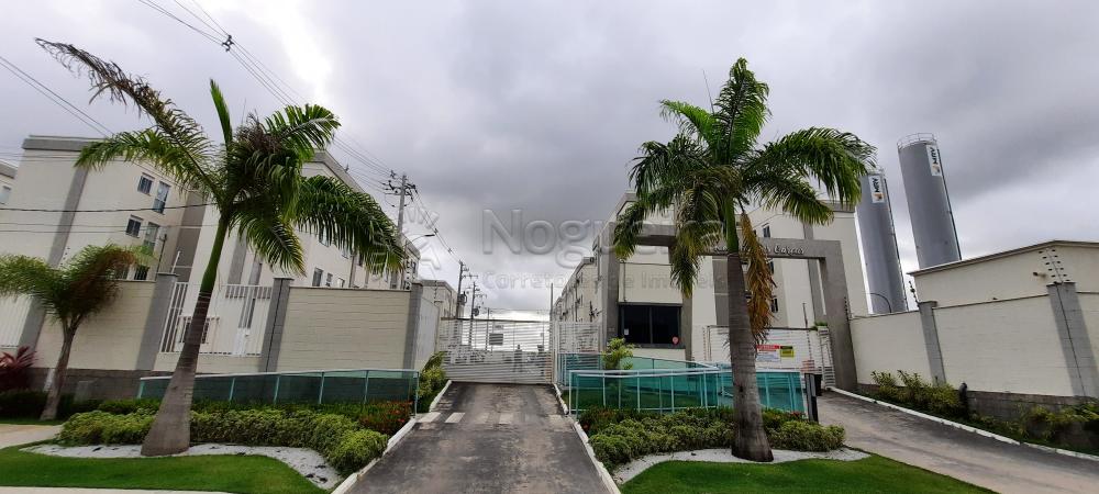 Imagem Apartamento com 2 Quartos à Venda, 45 m²em Piedade - Jaboatão dos Guararapes Imagem Apartamento com 2 Quartos à Venda, 45 m²em Piedade - Jaboatão dos Guararapes