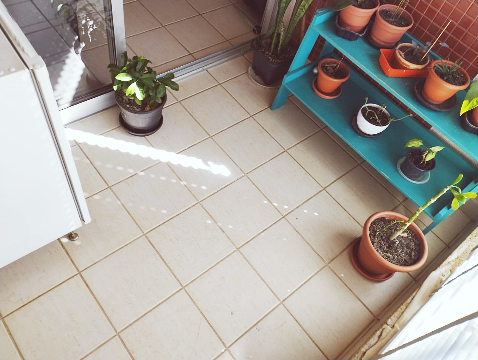 Imagem Apartamento com 3 Quartos à Venda, 90 m²em Norte (Águas Claras) - Brasília