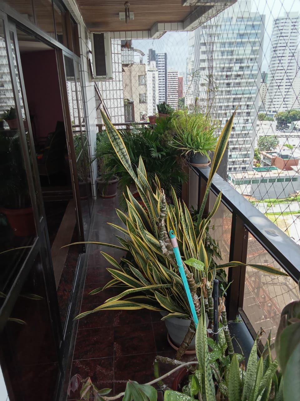 Imagem Apartamento com 4 Quartos à Venda, 253 m² em Umarizal - Belém Imagem Apartamento com 4 Quartos à Venda, 253 m² em Umarizal - Belém
