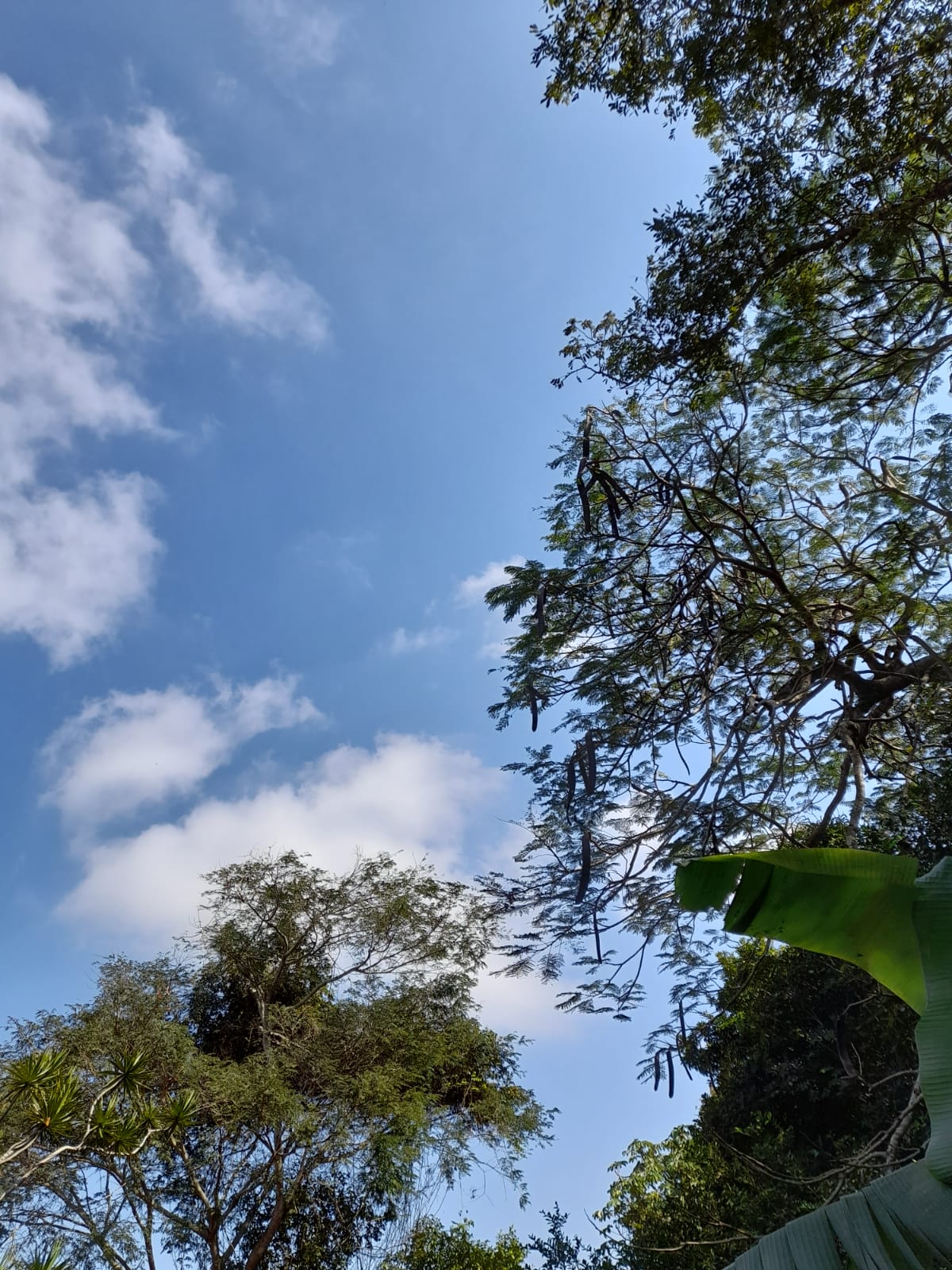 Imagem Terreno à Venda, 1.350 m² em Praia Rasa - Armação dos Búzios