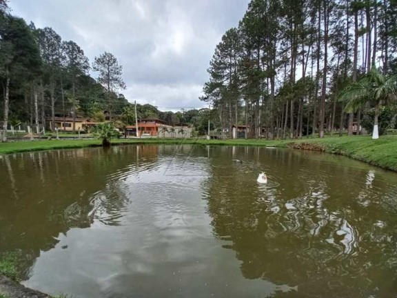 Imagem Chácara com 6 Quartos à Venda, 400 m² em PALESTINA - Juquitiba