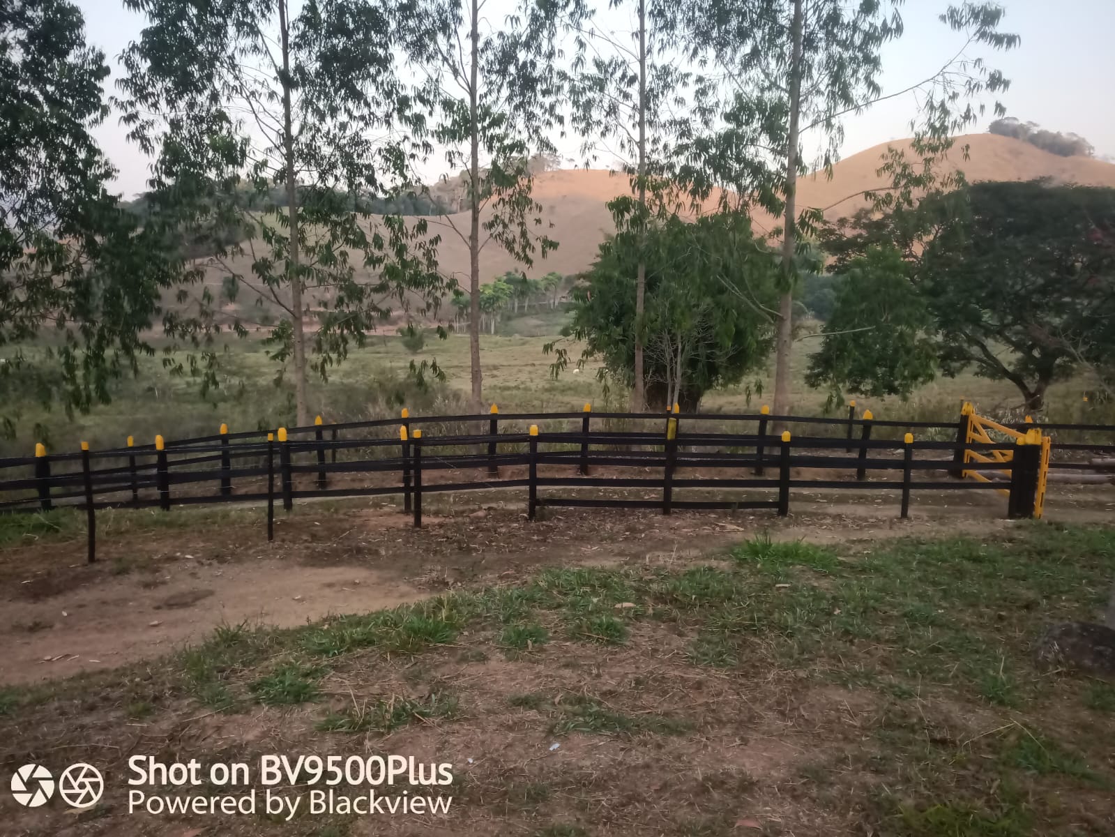 Imagem Chácara com 2 Quartos à Venda, 72.000 m² em - Rio Pomba Imagem Chácara com 2 Quartos à Venda, 72.000 m² em - Rio Pomba