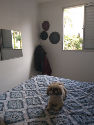 Imagem Apartamento com 3 Quartos à Venda, 76 m² em Paraisópolis - São Paulo