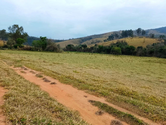 Imagem Fazenda à Venda, 135 Alq SP em Rural - Caconde