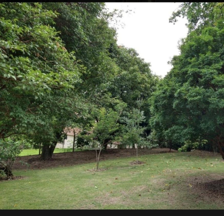 Imagem Chácara com 3 Quartos à Venda, 186 m²em Colinas do Castelo - Jaguariúna