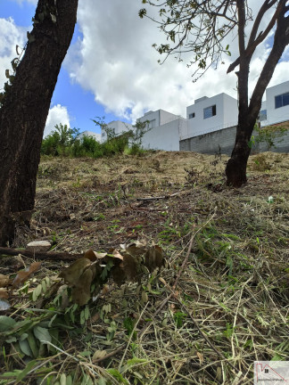 Terreno à Venda, 2.162 m² em Chácaras Cotia - Contagem