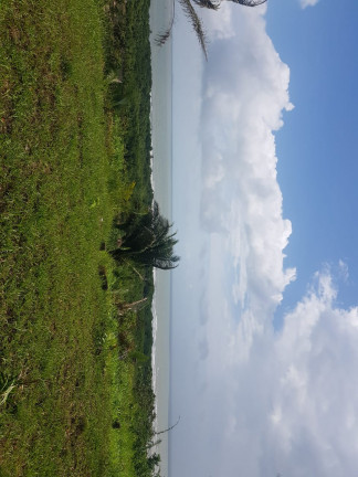Imagem Terreno à Venda, 15.300 m² em Arçagy - São José de Ribamar