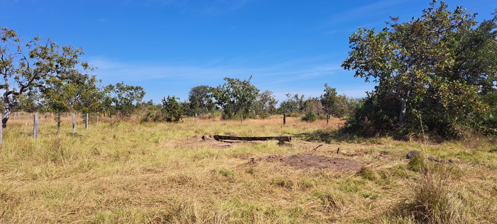 Imagem Fazenda à Venda, 25 Alq GOem Zona Rural - Araguaiana