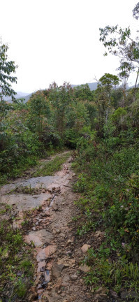 Imagem Terreno à Venda,  em Santaninha - Pedras Grandes