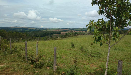 Imagem Fazenda à Venda, 8 Alq GOem Zona Rural - Silvânia