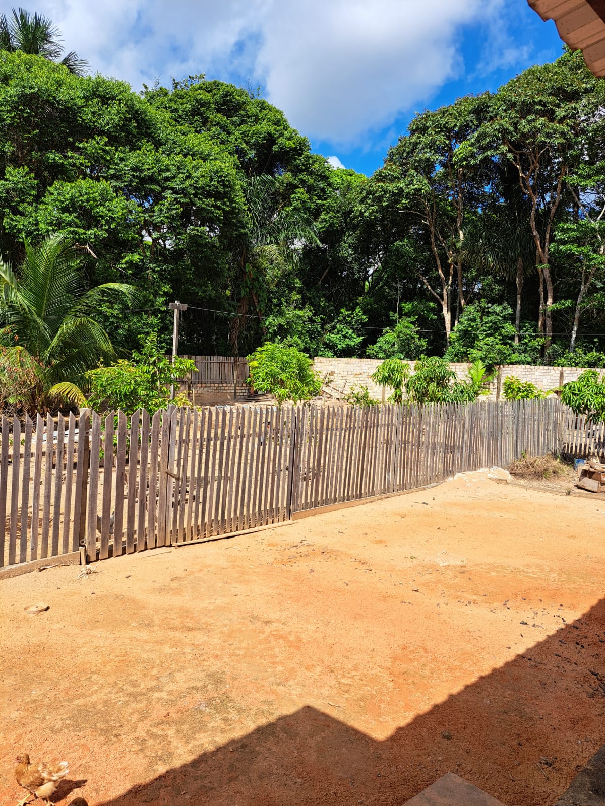 Imagem Chácara com 3 Quartos à Venda ou Temporada, 7 m²em Matinha - Santarém Imagem Chácara com 3 Quartos à Venda ou Temporada, 7 m²em Matinha - Santarém