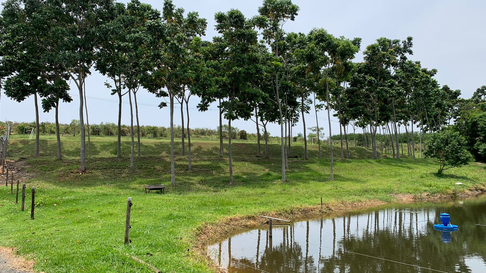 Imagem Chácara com 3 Quartos à Venda, 390 m²em Novo - Artur Nogueira