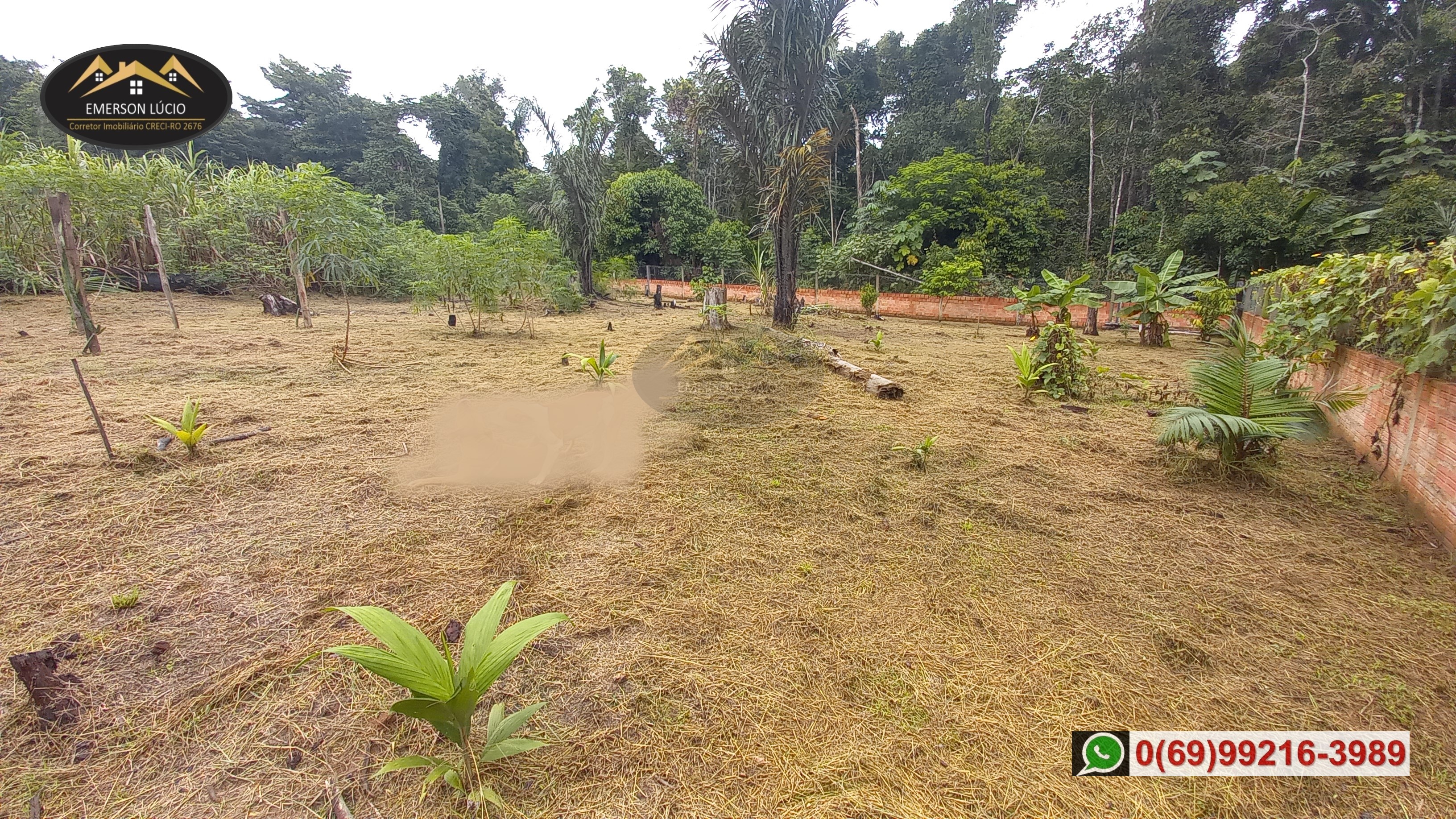 Imagem Chácara com 1 Quarto à Venda, 20 m²em Areia Branca - Porto Velho Imagem Chácara com 1 Quarto à Venda, 20 m²em Areia Branca - Porto Velho