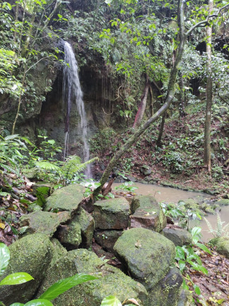 Imagem Terreno à Venda,  em Santaninha - Pedras Grandes