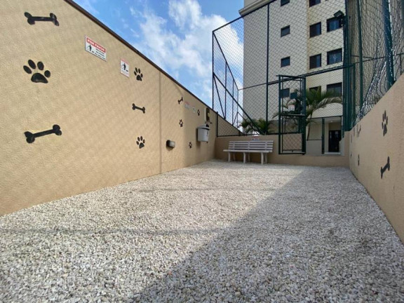 Imagem Apartamento com 3 Quartos à Venda, 65 m² em Baeta Neves - São Bernardo do Campo Imagem Apartamento com 3 Quartos à Venda, 65 m² em Baeta Neves - São Bernardo do Campo