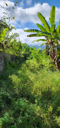 Imagem Chácara com 2 Quartos à Venda, 12.000 m² em Sertão do Camburi - São Sebastião
