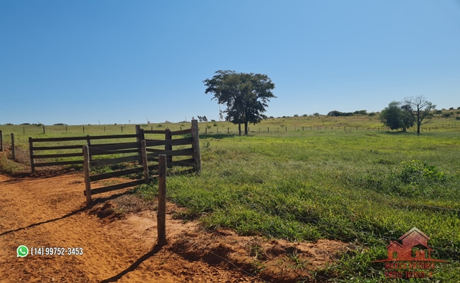 Imagem Chácara à Venda, 20.000 m² em Tibiriçá - Bauru Imagem Chácara à Venda, 20.000 m² em Tibiriçá - Bauru