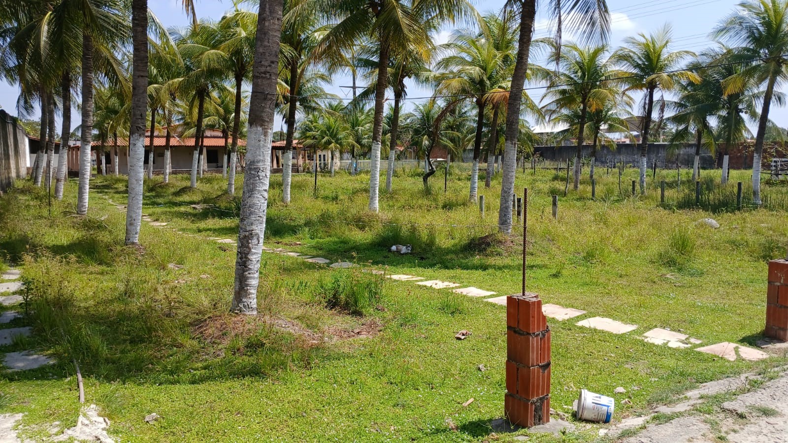 Imagem Casa com 3 Quartos à Venda, 1.000 m² em Siqueira - Maracanaú Imagem Casa com 3 Quartos à Venda, 1.000 m² em Siqueira - Maracanaú