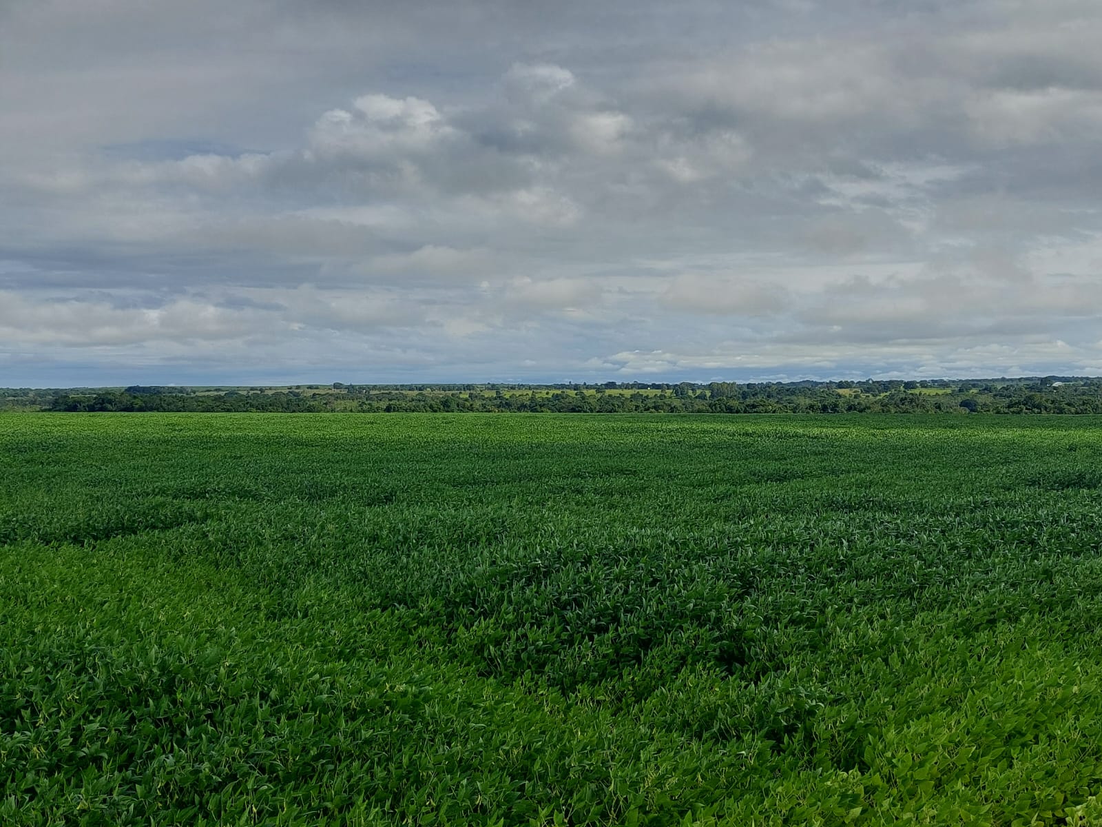 Imagem Fazenda à Venda, 968 m² em Estiva - Itajubá Imagem Fazenda à Venda, 968 m² em Estiva - Itajubá