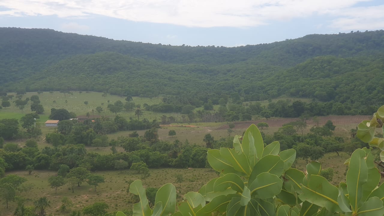 Fazenda à Venda, 136 Alq GOem ZONA RURAL - Crixás