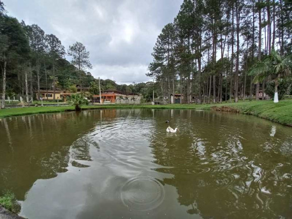 Imagem Chácara com 6 Quartos à Venda, 400 m² em PALESTINA - Juquitiba