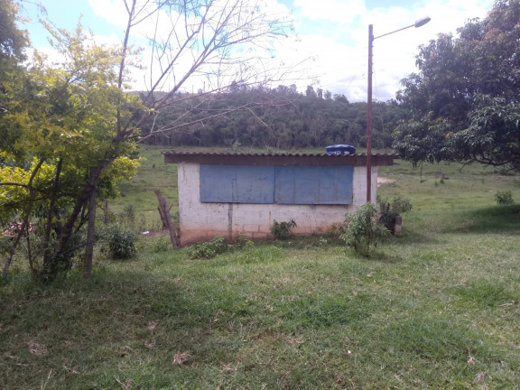 Imagem Chácara com 4 Quartos à Venda, 25.000 m²em Jardim Palmeiras - Caçapava